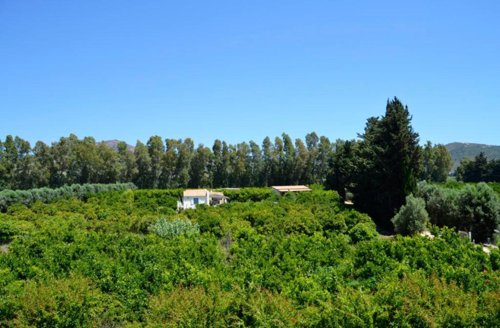 Luna&Limoni Country Muravera Exterior photo