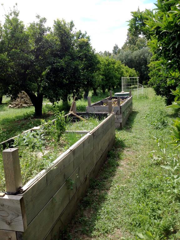 Luna&Limoni Country Muravera Exterior photo